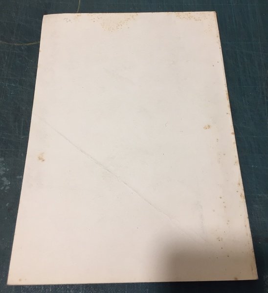 LA PROVINCIA DI BELLUNO