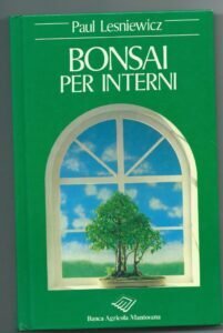 BONSAI PER INTERNI