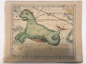 CAPRICORNO – WALLFISCH ( A COLORI) – STAMPA | Immagine Gallery 1