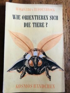 WIE ORIENTIEREN SICHE DI TIERE?