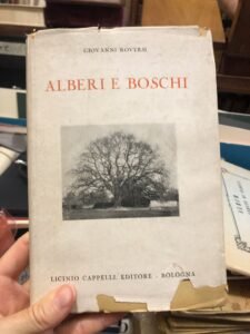 ALBERI E BOSCHI | Immagine principale