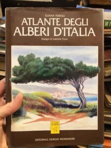 ATLANTE DEGLI ALBERI D’ITALIA. DISEGNI DI GABRIELE POZZI