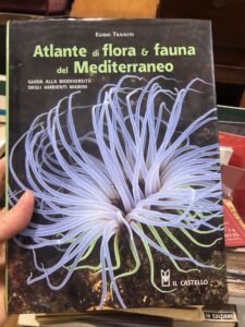ATLANTE DI FLORA E FAUNA DEL MEDITERRANEO- GUIDA ALLA BIODIVERSITA’ … | Immagine principale