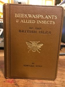 BEES, WASPS, ANTS AND ALLIED INSECTS OF THE BRITISH ISLES