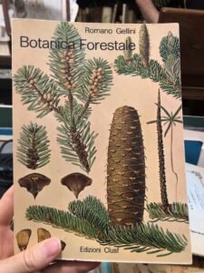 BOTANICA FORESTALE VOLUME I | Immagine principale
