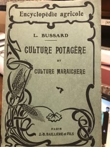 CULTURE POTAGERE ET CULTURE MARAICHERE