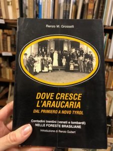 DOVE CRESCE L’ARAUCARIA. DAL PRIMIERO A NOVO TYROL PARTE III | Immagine principale