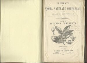 ELEMENTI DI STORIA NATURALE COMPARATA – BOTANICA COMPARATA E BOTANICA …
