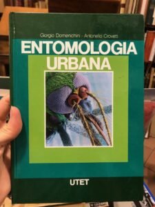 ENTOMOLOGIA URBANA | Immagine principale