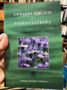 ERBARIO BIBLICO DI PAOLO CULTRERA | Immagine principale