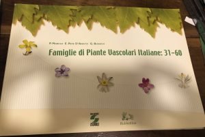 FAMIGLIE DI PIANTE VASCOLARI ITALIANA: 31- 60
