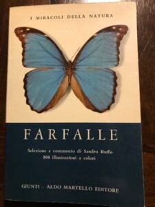 FARFALLE