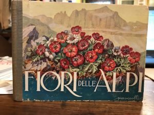 FIORI DELLE ALPI