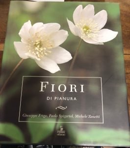 FIORI DI PIANURA