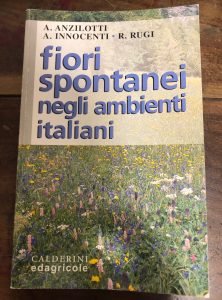 FIORI SPONTANEI NEGLI AMBIENTI ITALIANI
