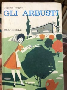 GLI ARBUSTI | Immagine principale