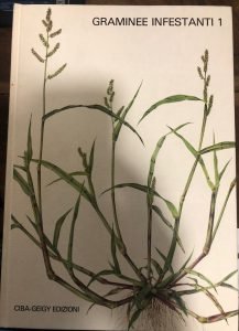 GRAMINACEE INFESTANTI 1 E 2; 3.MONOCOTILEDONI INFESTANTI; 4.DICOTILEDONI INFESTANTI , …