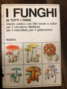 I FUNGHI DI TUTTI I PAESI