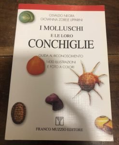 I MOLLUSCHI E LE LORO CONCHIGLIE. GUIDA AL RICONOSCIMENTO