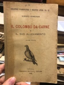 IL COLOMBO DA CARNE E IL SUO ALLEVAMENTO- SECONDA EDIZIONE | Immagine principale