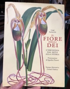 IL FIORE DEGLI DEI. L’ORCHIDEA DAL MITO ALLA STORIA | Immagine principale