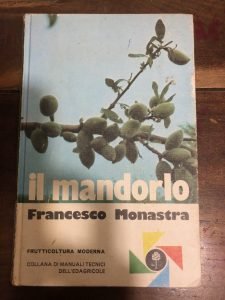 IL MANDORLO