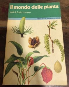 IL MONDO DELLE PIANTE