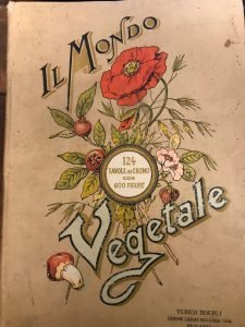 IL MONDO VEGETALE DESCRITTO ED ILLUSTRATO DAL PROF. T.A. BALDINI