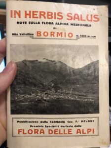 IN HERBIS SALUS NOTE SULLA FLORA ALPINA MEDICINALE DI BORMIO