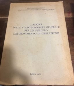 L’AZIONE DELLO STATO MAGGIORE GENERALE PER LO SVILUPPO DEL MOVIMENTO …