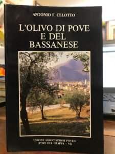 L’OLIVO DI POVE E DEL BASSANESE | Immagine Gallery 2