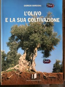 L’OLIVO E LA SUA COLTIVAZIONE