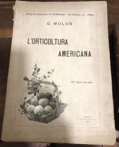 L’ORTICOLTURA AMERICANA