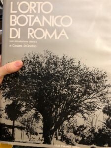 L’ORTO BOTANICO DI ROMA
