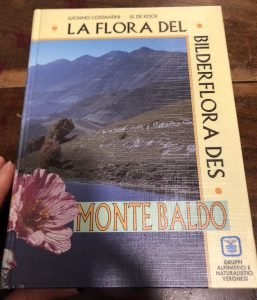 LA FLORA DEL MONTE BALDO- BILDERFLORA DES MONTE BALDO