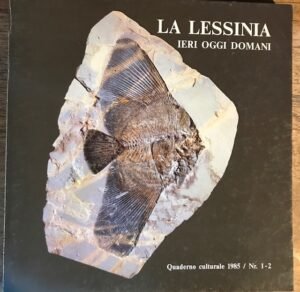 LA LESSINIA IERI OGGI DOMANI. QUANDERNO CULTURALE 1985 – NR. …