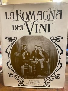 LA ROMAGNA DEI VINI