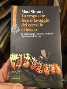 LA VESPA CHE FECE IL LAVAGGIO DEL CERVELLO AL BRUCO | Immagine principale