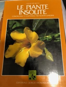 LE PIANTE INSOLITE, CONOSCERLE E COLTIVARLE NEI NOSTRI GIARDINI | Immagine principale