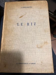 LE RIZ