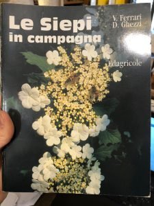 LE SIEPI IN CAMPAGNA