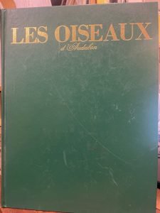 LES OISEAUX D’AUDUBON