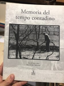 MEMORIA DEL TEMPO CONTADINO | Immagine principale