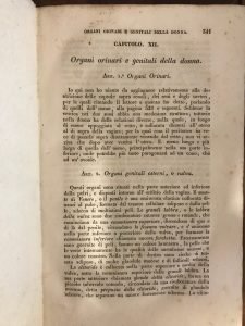 NUOVO MANUALE PER L’ANATOMICO. VOL. 2