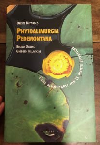 PHYTOALIMURGIA PEDEMONTANA. COME ALIMENTARSI CON LE PIANTE SELVATICHE | Immagine principale