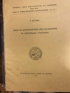 RESTI DI ANTRACOTERIO NELL’OLIGOCENE DI CHIUPPANO (VICENZA)