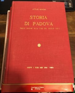 STORIA DI PADOVA . DALLE ORIGINI ALLA FINE DEL SECOLO …