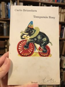 TEMPORALE ROSY | Immagine principale