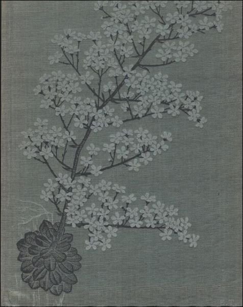 DER STEINGARTEN. | Immagine principale