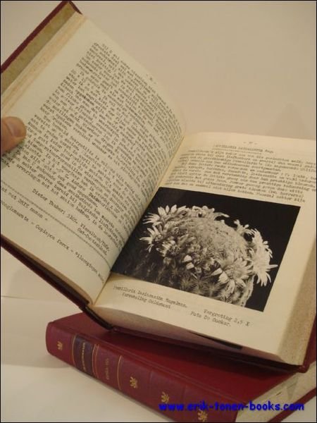 Cactusweelde , Dodonaeus, driemaandelijks tijdschrift afdeling Duffel.